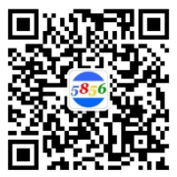 伯乐速运微信客服